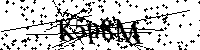 Bitte geben Sie die Buchstaben und Zahlen unten ein