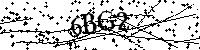 Bitte geben Sie die Buchstaben und Zahlen unten ein