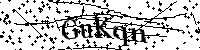 Bitte geben Sie die Buchstaben und Zahlen unten ein