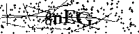 Bitte geben Sie die Buchstaben und Zahlen unten ein