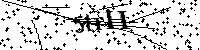 Bitte geben Sie die Buchstaben und Zahlen unten ein