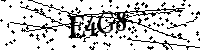 Bitte geben Sie die Buchstaben und Zahlen unten ein