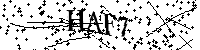 Bitte geben Sie die Buchstaben und Zahlen unten ein