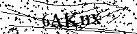Bitte geben Sie die Buchstaben und Zahlen unten ein