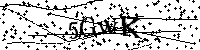 Bitte geben Sie die Buchstaben und Zahlen unten ein
