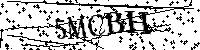 Bitte geben Sie die Buchstaben und Zahlen unten ein