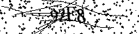 Bitte geben Sie die Buchstaben und Zahlen unten ein