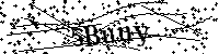 Bitte geben Sie die Buchstaben und Zahlen unten ein