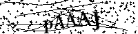 Bitte geben Sie die Buchstaben und Zahlen unten ein
