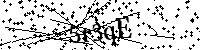 Bitte geben Sie die Buchstaben und Zahlen unten ein