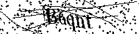 Bitte geben Sie die Buchstaben und Zahlen unten ein