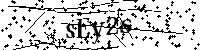 Bitte geben Sie die Buchstaben und Zahlen unten ein