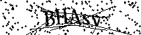 Bitte geben Sie die Buchstaben und Zahlen unten ein