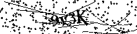 Bitte geben Sie die Buchstaben und Zahlen unten ein