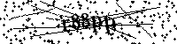 Bitte geben Sie die Buchstaben und Zahlen unten ein