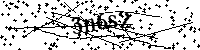 Bitte geben Sie die Buchstaben und Zahlen unten ein