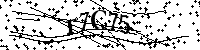 Bitte geben Sie die Buchstaben und Zahlen unten ein