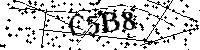 Bitte geben Sie die Buchstaben und Zahlen unten ein