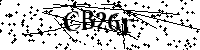 Bitte geben Sie die Buchstaben und Zahlen unten ein
