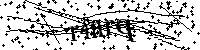 Bitte geben Sie die Buchstaben und Zahlen unten ein