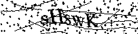Bitte geben Sie die Buchstaben und Zahlen unten ein