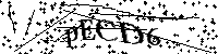 Bitte geben Sie die Buchstaben und Zahlen unten ein