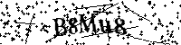 Bitte geben Sie die Buchstaben und Zahlen unten ein