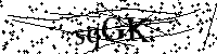 Bitte geben Sie die Buchstaben und Zahlen unten ein