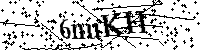 Bitte geben Sie die Buchstaben und Zahlen unten ein
