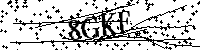 Bitte geben Sie die Buchstaben und Zahlen unten ein