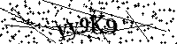 Bitte geben Sie die Buchstaben und Zahlen unten ein