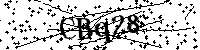 Bitte geben Sie die Buchstaben und Zahlen unten ein