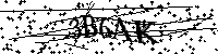 Bitte geben Sie die Buchstaben und Zahlen unten ein