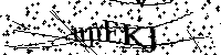 Bitte geben Sie die Buchstaben und Zahlen unten ein