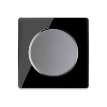 Light switch grey with glass cover frame in black