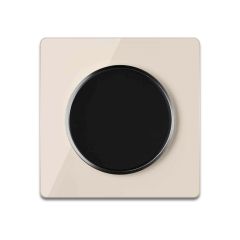 Light switch black with glass cover frame in beige