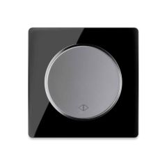 Single-pole, double-throw switch grey with glass cover frame in black