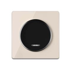 Single-pole indicator switch black with glass cover frame in beige