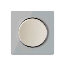 Light switch beige with glass cover frame in grey