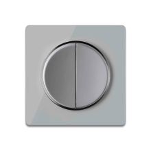 Double-pole switch grey with glass cover frame in grey