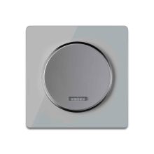 Single-pole indicator switch with glass cover frame in grey