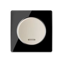 Single-pole indicator switch beige with glass cover frame in black 