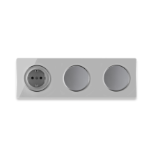 1x Prise de courant avec terre + 2x interrupteurs simple allumage avec plaque de finition en verre, 3 postes, horizontale - Gris
