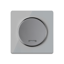 Interrupteur simple allumage avec témoin lumineux, 1 voie avec plaque Garda en verre - "Gris"