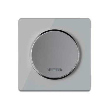 Single-pole indicator switch with glass cover frame in grey