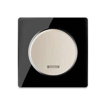 Single-pole indicator switch beige with glass cover frame in black